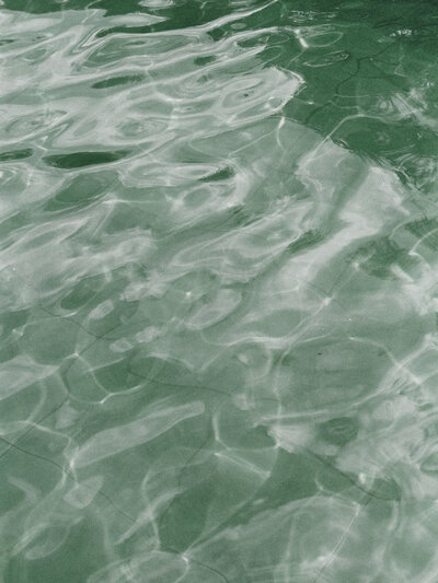 elevae_23_0000004703-1_1